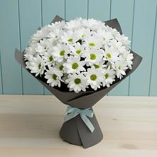 Букет цветов из:  Хризантемы в Луговом