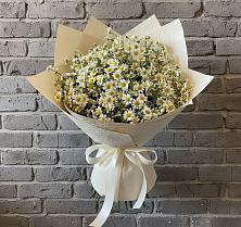 Букет цветов из:  Ромашки #REPLACE_PRED# Луговом