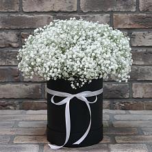 Цветочная композиция из Гипсофила в шляпной коробке в Луговом